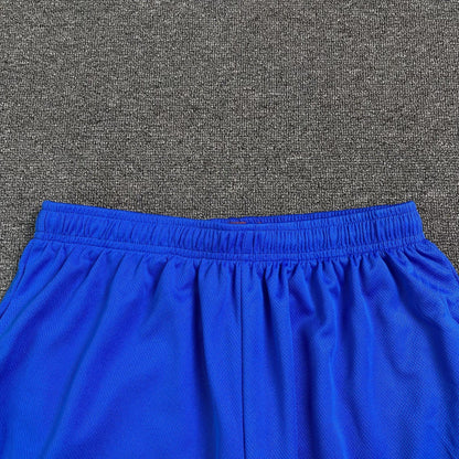 ERIC EMANUEL EE BASIC SHORTS ELECTRIC BLUE/ORANGE - Sin Sity Reps