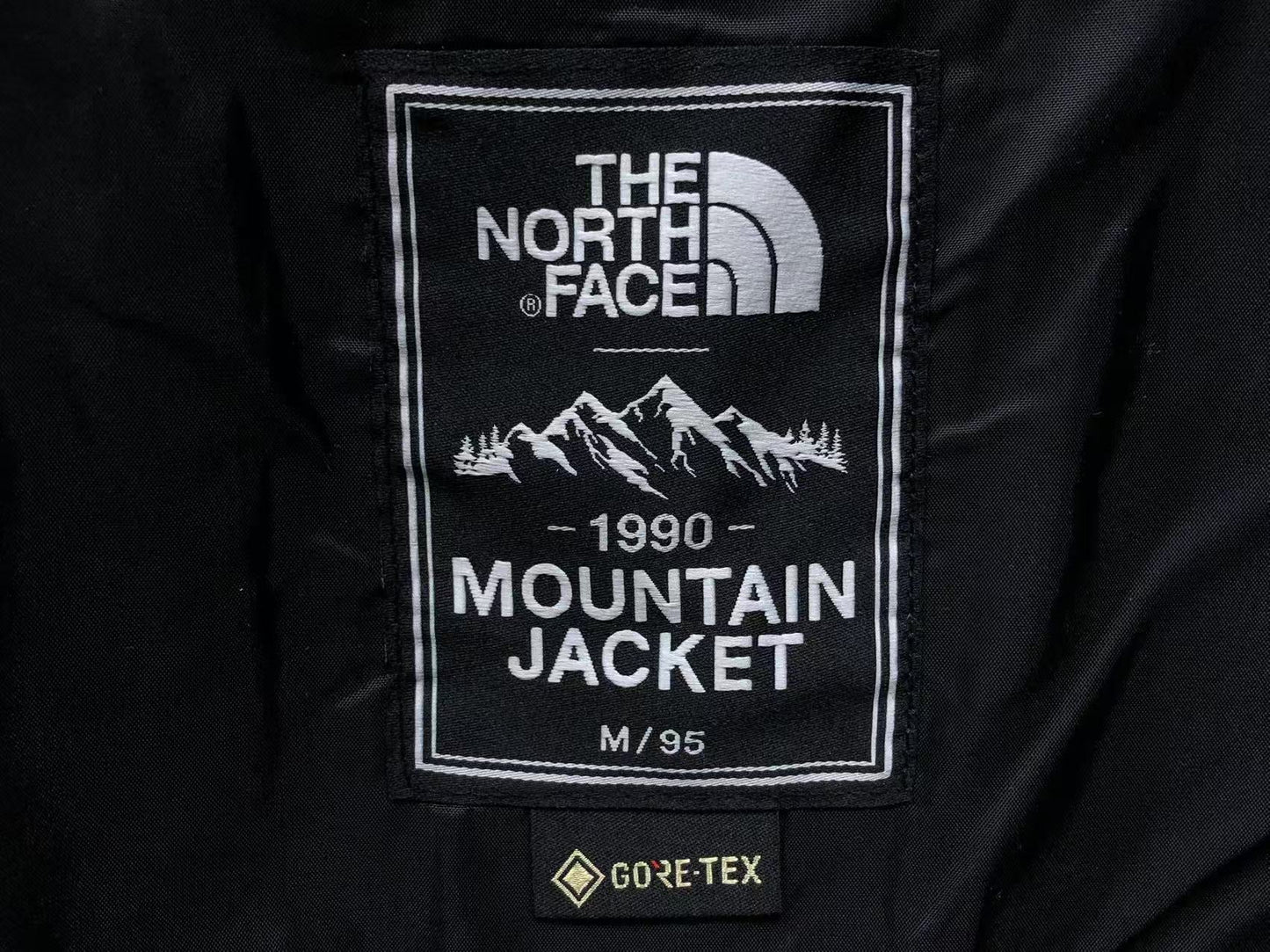 THE NORTH FACE WINTER MOUNTAIN GORETEX JACKET - Sin Sity Reps